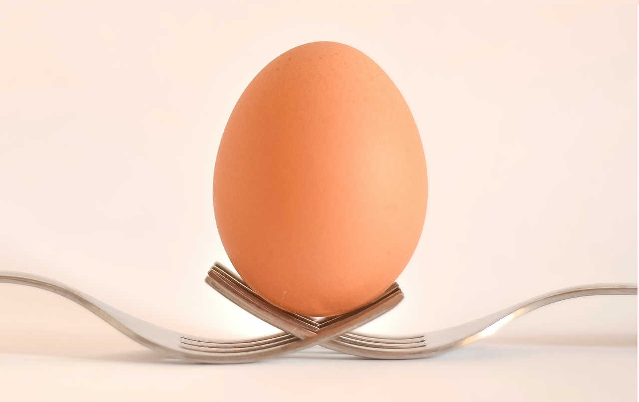 egg on two steel forks