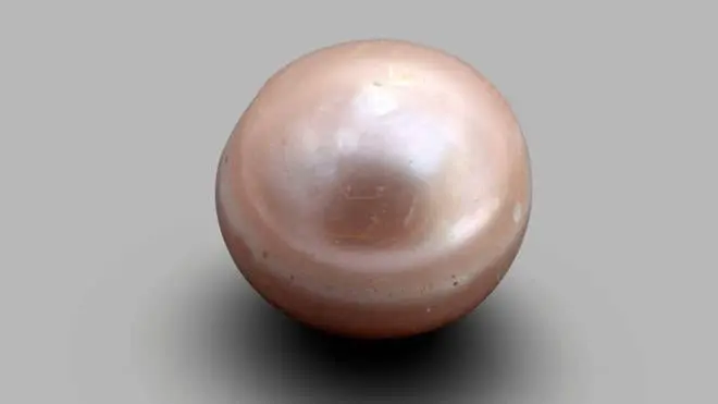 Neolithic Pearl Of Abu Dhabi